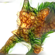 Illustration for article titled The amazing Pineapple Cats of Hawaii